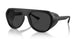 504/48 - Black - Grey Polarized