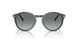 309211 - Green - Grey Gradient