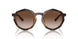 821313 - Tortoise - Gradient Brown