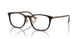 4102 - Tortoise