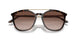 502613 - Tortoise - Gradient Brown