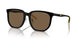 500173 - Black - Dark Brown