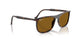 902/33 - Tortoise - Brown