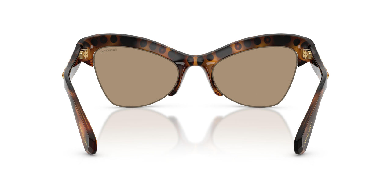 100271 - Tortoise - Dark Brown Mirror Rose Gold