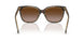 629413 - Brown - Gradient Brown