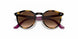 706468 - Transparent Fuxia - Violet Gradient Brown