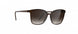 6030 - PURE BROWN - SLM Dark Brown Gradient