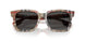 377887 - Brown - Dark Grey