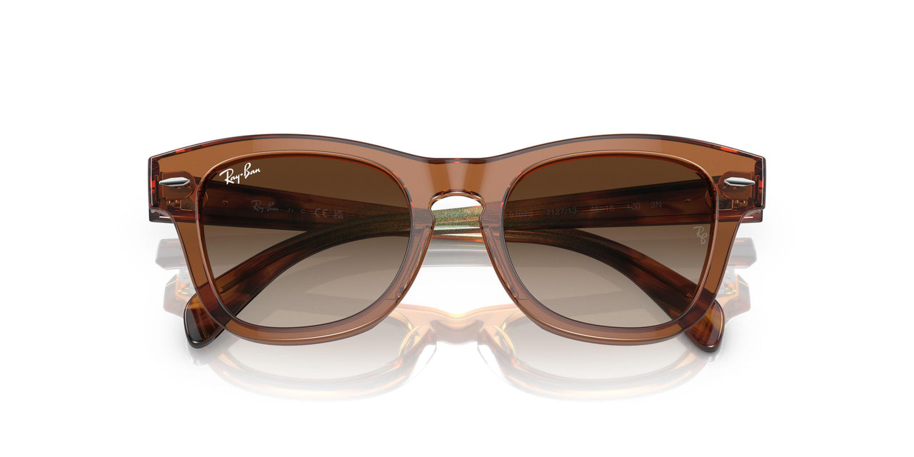 712713 - Brown - Brown Gradient