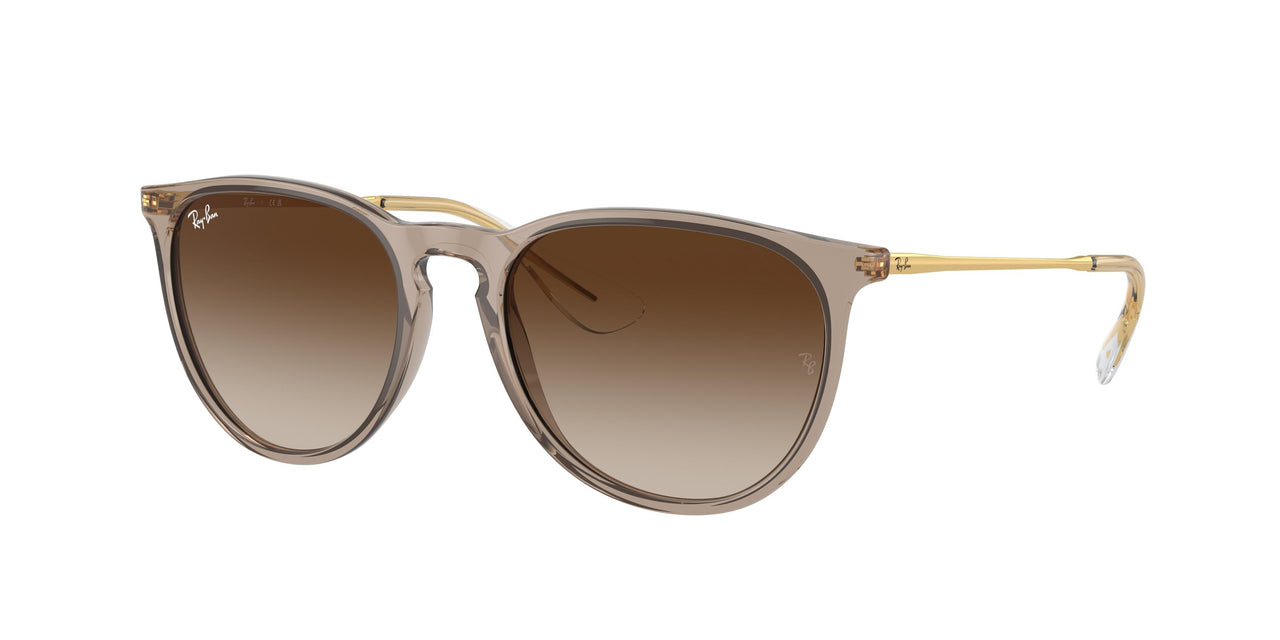 Ray-Ban Erika 4171 Sunglasses