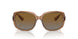 5561T5 - Brown - Brown Grey Gradient Polar