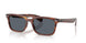 954/R5 - Brown - Blue