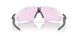 920851 - Matte Black - Prizm Black Polarized