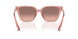 310113 - Pink - Pink Gradient Dark Brown