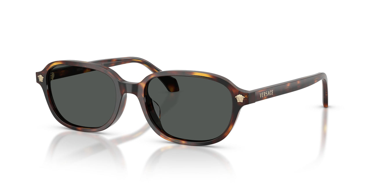 Versace 4514D Sunglasses