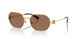 334373 - Gold - Dark Brown