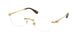 Swarovski 1031 Eyeglasses