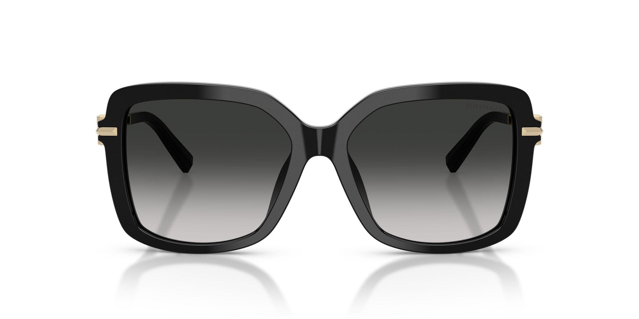 80013C - Black - Grey Gradient