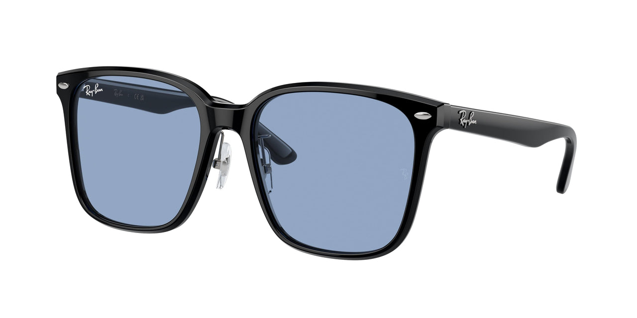 Ray-Ban 2206D Sunglasses