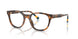 5003 - Tortoise