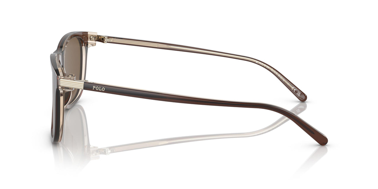 602973 - Brown - Brown