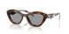20D50Q - Havana - Grey