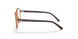3899 - Brown