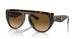 702/M2 - Tortoise - Polarized Brown Gradient