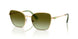 4004E8 - Gold - Green Gradient Brown