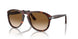 24/51 - Havana - Crystal Brown Gradient