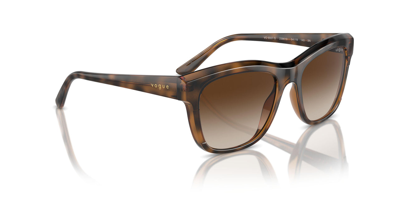 238613 - Brown - Brown Gradient