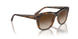238613 - Brown - Brown Gradient