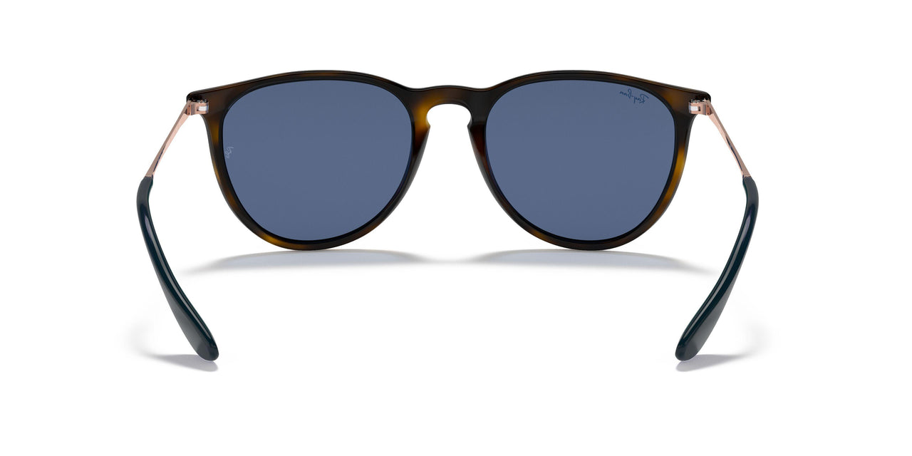 639080 - Dark Havana - Blue Mirror