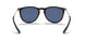 639080 - Dark Havana - Blue Mirror