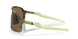 946211 - Green - Prizm Bronze