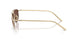 ZVN80T - Gold - Black Chocolate