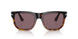 1160AF - Brown - Dark Violet Polar