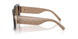 196473 - Tortoise - Brown