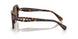 100273 - Tortoise - Dark Brown