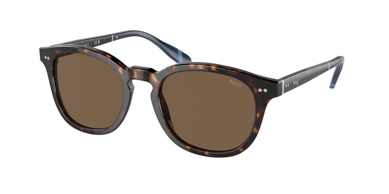 Polo 4206 Sunglasses