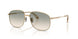 10242C - Gold - Gradient Brown
