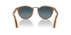 960/S3 - Brown - Light Blue Grad Dlue Polar