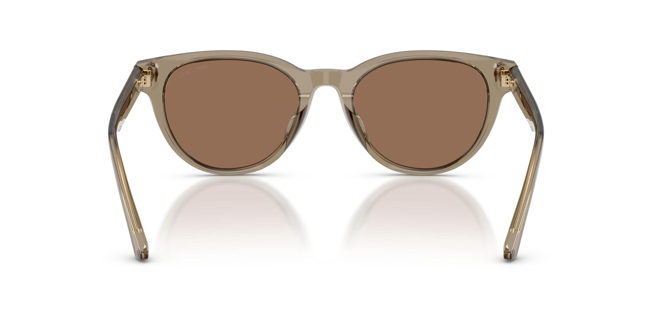 505173 - Brown - Dark Brown