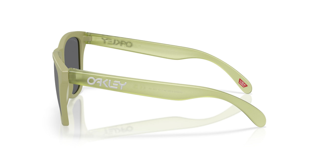 9245E9 - Green - Prizm Black Polarized