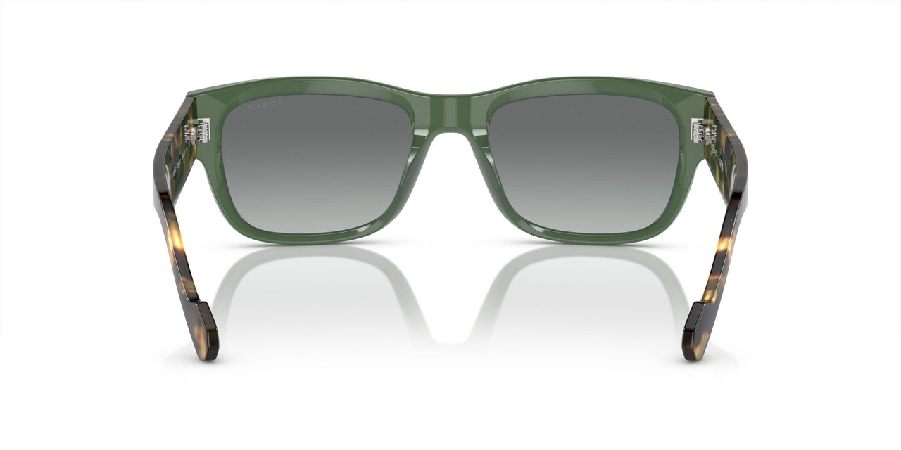 309211 - Green - Grey Gradient