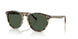 31869A - Tortoise - Dark Green Polar