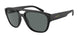 290081 - Black - Polarized Grey