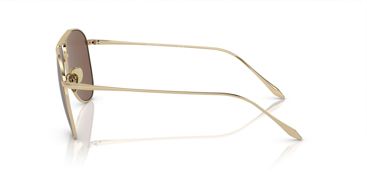 301373 - Gold - Dark Brown