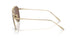 301373 - Gold - Dark Brown