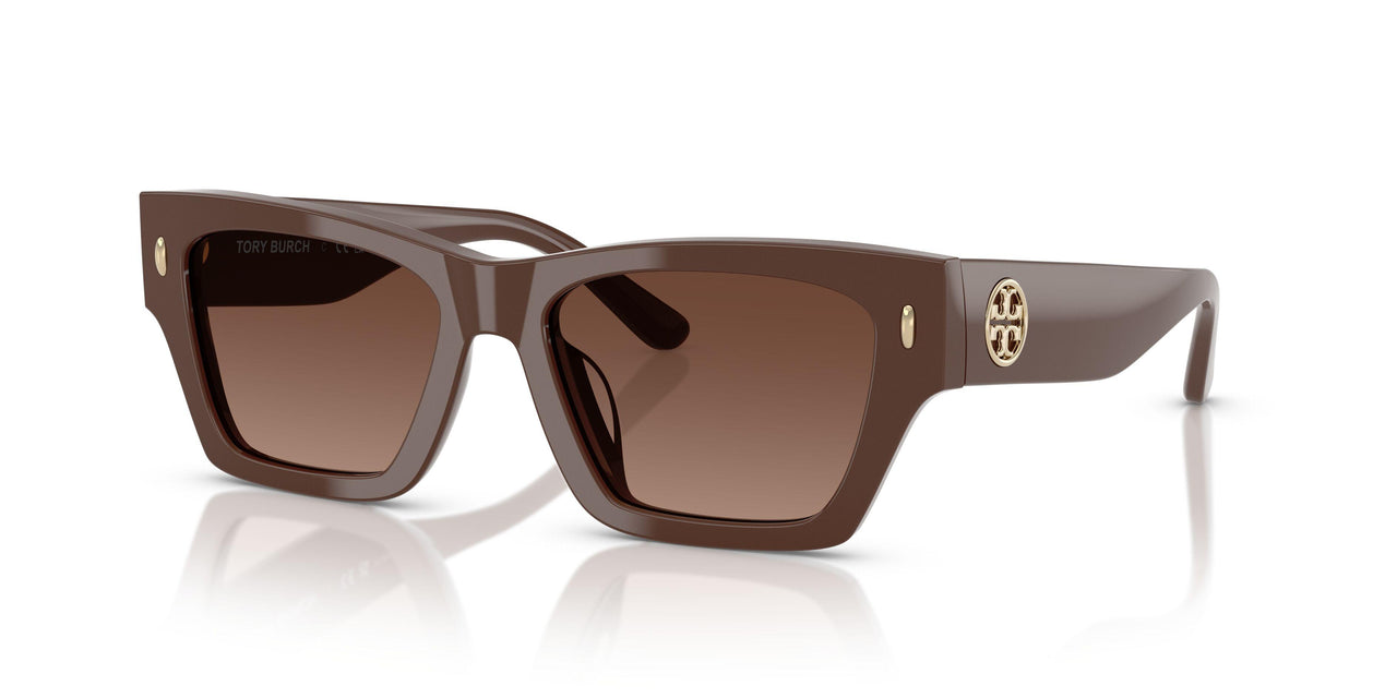 1973T5 - Brown - Brown Gradient Polar